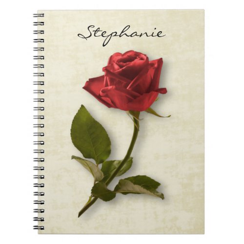 Your Name  Red Rose  Stem Floral Photography Notebook