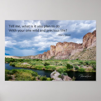 Your One Wild and Precious Life Poster