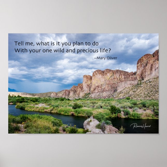 Your One Wild and Precious Life Poster (Front)