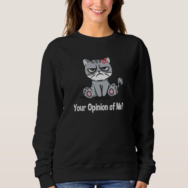 Your Opinion of Me Sarcastic Coworker Sarcasm Offi Sweatshirt (Front)