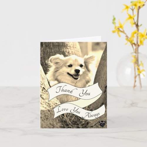Your Own Message Sepia Dog Thank You Card