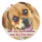 Your Own Photo And Custom Text Stickers