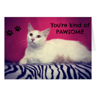Your Pawsome Love Card