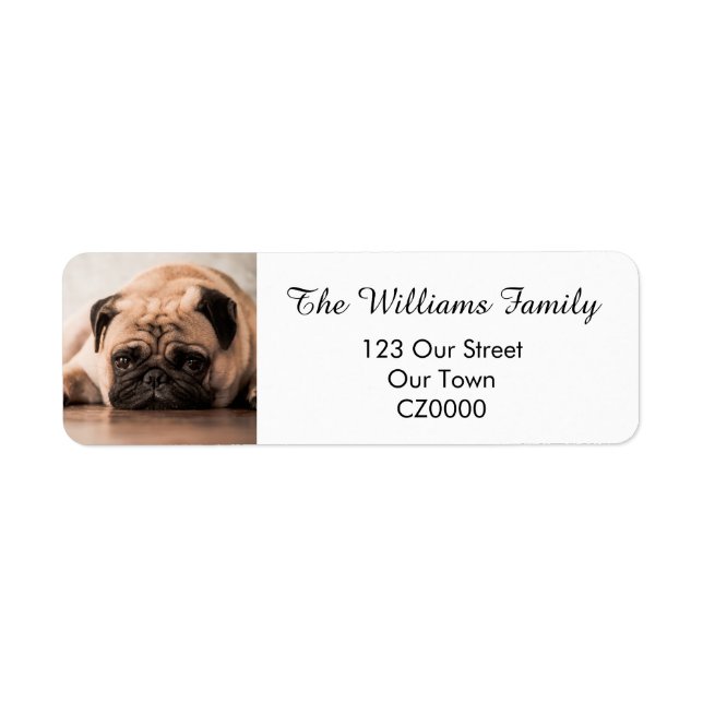 Your Personalised Pet Photo Address Label (Front)