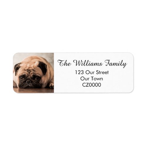 Your Personalised Pet Photo Address Label