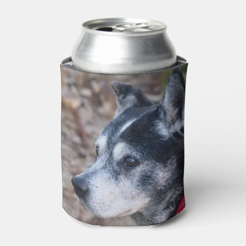 Your pet can cooler