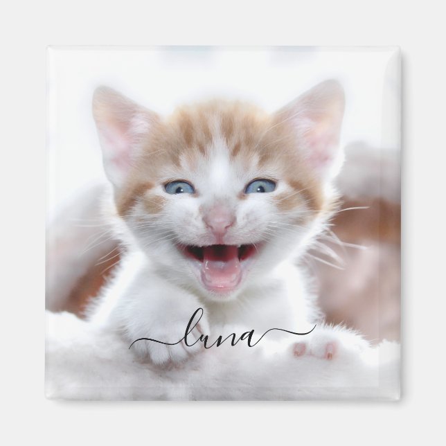 Your Pet Cat Photo Name with Swashes Magnet (Front)