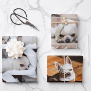 Your pet dog custom 3 photo chihuahua pattern Gift Wrapping Paper Sheets