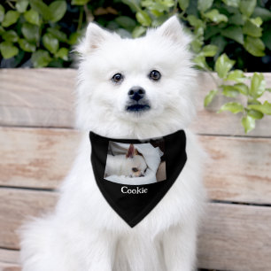 Your pet dog custom photo chihuahua name bandana collar