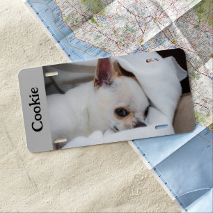Your pet dog custom photo chihuahua name license plate