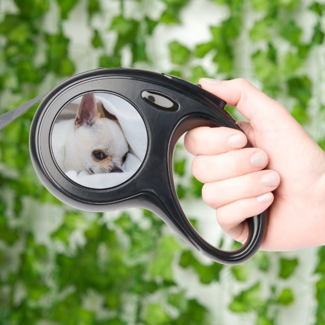 Your pet dog puppy custom 2 photo chihuahua retractable pet leash  (Hand)