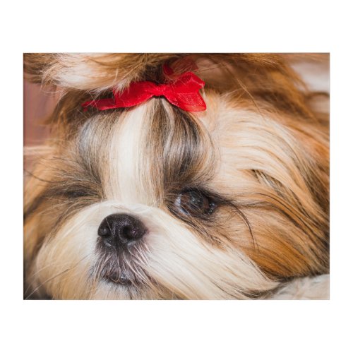 Your pet dog puppy custom photo acrylic print