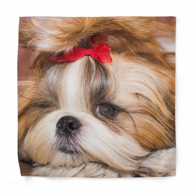 Your pet dog puppy custom photo bandana (Front)