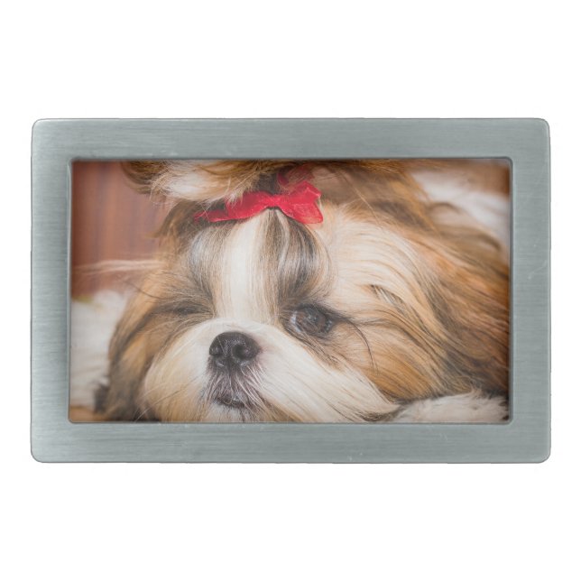Your pet dog puppy custom photo belt buckle (Front)