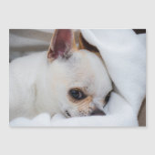 Your pet dog puppy custom photo chihuahua (Front)