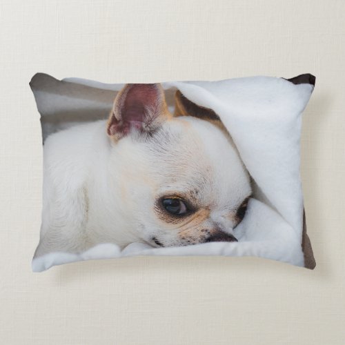 Your pet dog puppy custom photo chihuahua accent pillow