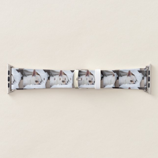 Your pet dog puppy custom photo chihuahua apple watch band (Band)