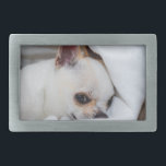 Your pet dog puppy custom photo chihuahua belt buckle<br><div class="desc">Your pet dog puppy custom photo chihuahua. 
Customize it with Your photo of pets,  dogs,  cats.. Lovely custom gift for animal lovers. 
dog, puppy, animal, custom photo, cute, pets,  chihuahua</div>