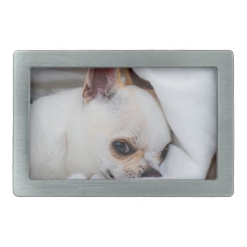 Your pet dog puppy custom photo chihuahua belt buckle