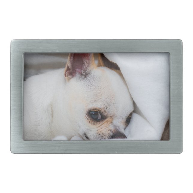 Your pet dog puppy custom photo chihuahua belt buckle (Front)