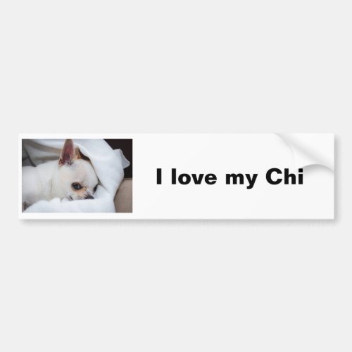 Your pet dog puppy custom photo chihuahua bumper sticker
