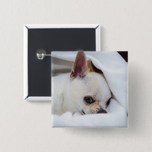 Your pet dog puppy custom photo chihuahua button