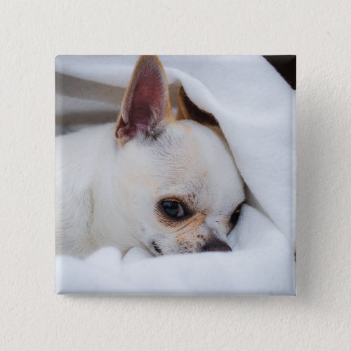 Your pet dog puppy custom photo chihuahua button
