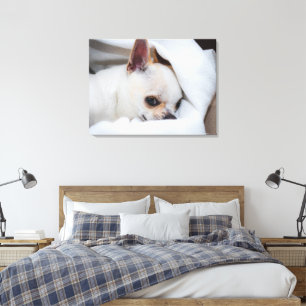 Your pet dog puppy custom photo chihuahua canvas print