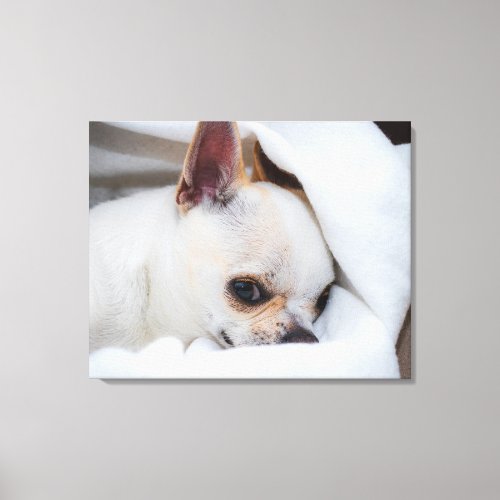 Your pet dog puppy custom photo chihuahua canvas print