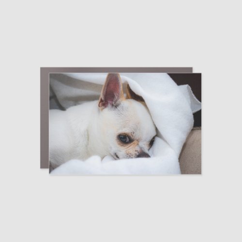 Your pet dog puppy custom photo chihuahua car magnet