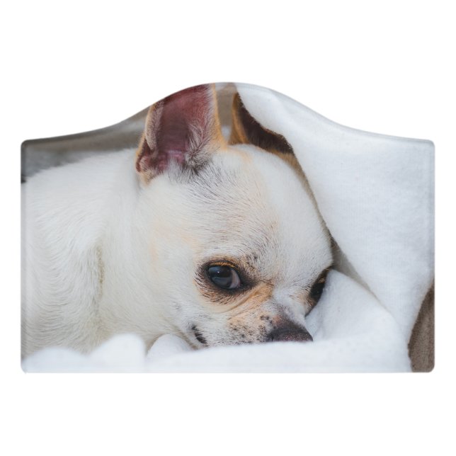 Your pet dog puppy custom photo chihuahua door sign (Small Crest Front)