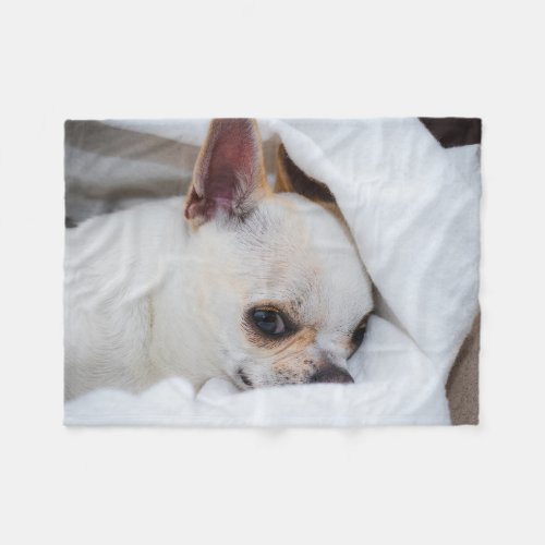Your pet dog puppy custom photo chihuahua fleece blanket