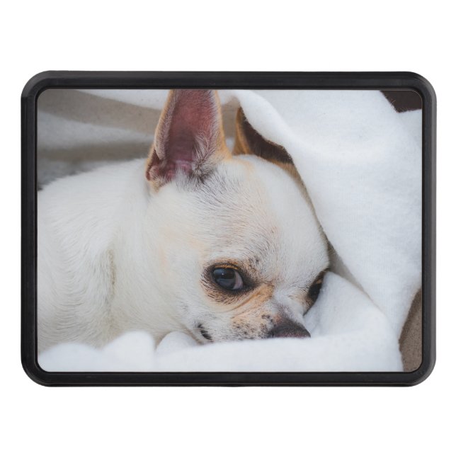 Your pet dog puppy custom photo chihuahua hitch cover (Front)