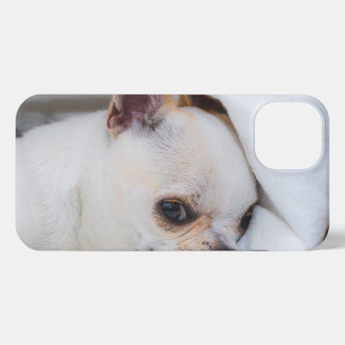 Your pet dog puppy custom photo chihuahua iPhone 13 case