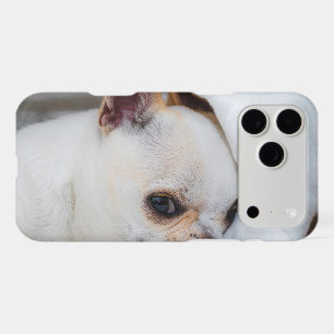 Your pet dog puppy custom photo chihuahua iPhone 17 pro max case