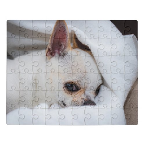 Your pet dog puppy custom photo chihuahua jigsaw puzzle