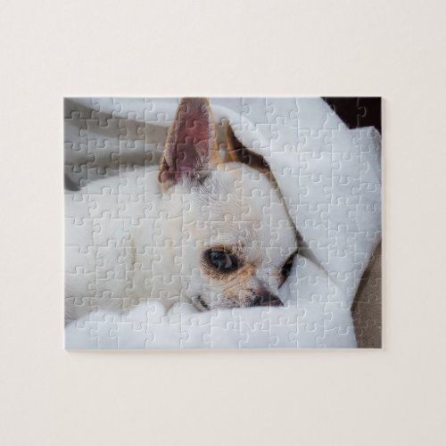 Your pet dog puppy custom photo chihuahua jigsaw puzzle