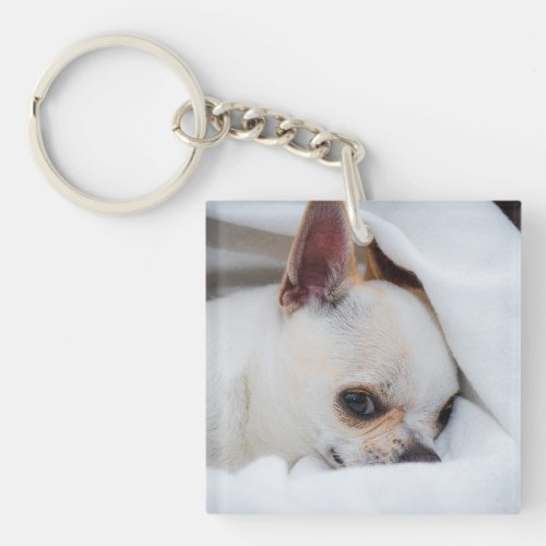 Your pet dog puppy custom photo chihuahua keychain