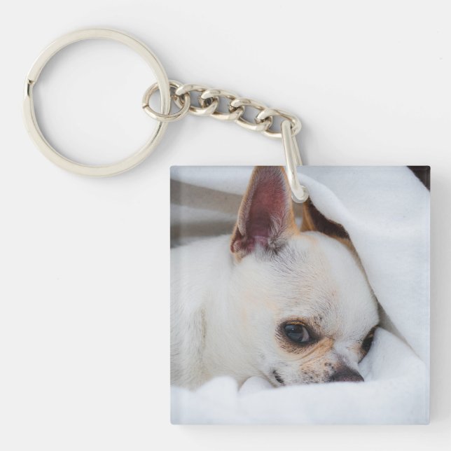 Your pet dog puppy custom photo chihuahua keychain (Front)