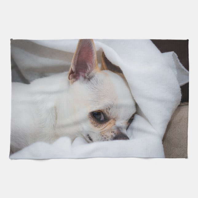 Your pet dog puppy custom photo chihuahua kitchen towel (Horizontal)