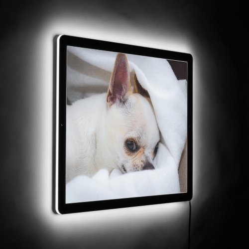 Your pet dog puppy custom photo chihuahua LED sign