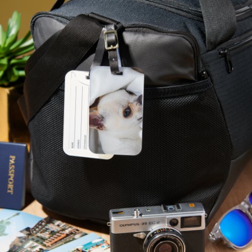 Your pet dog puppy custom photo chihuahua luggage tag