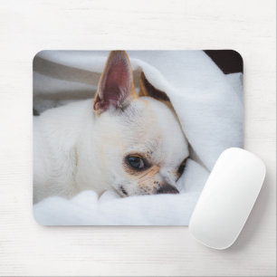 Your pet dog puppy custom photo chihuahua mouse pad