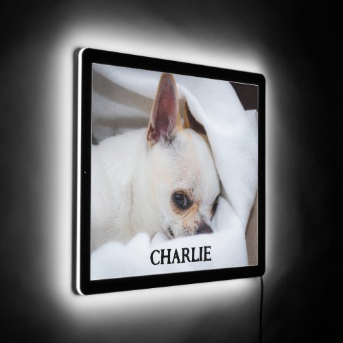 Your pet dog puppy custom photo chihuahua name LED sign