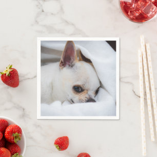 Your pet dog puppy custom photo chihuahua napkins