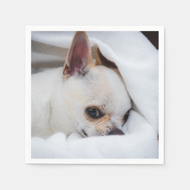Your pet dog puppy custom photo chihuahua napkins (Front)