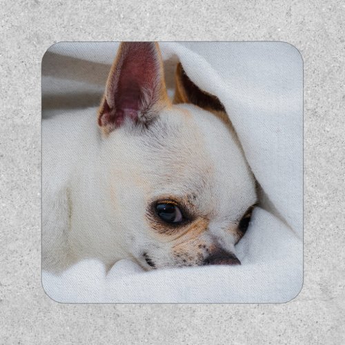 Your pet dog puppy custom photo chihuahua patch