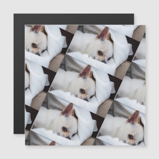 Your pet dog puppy custom photo chihuahua pattern (Front/Back)