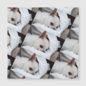 Your pet dog puppy custom photo chihuahua pattern (Front)