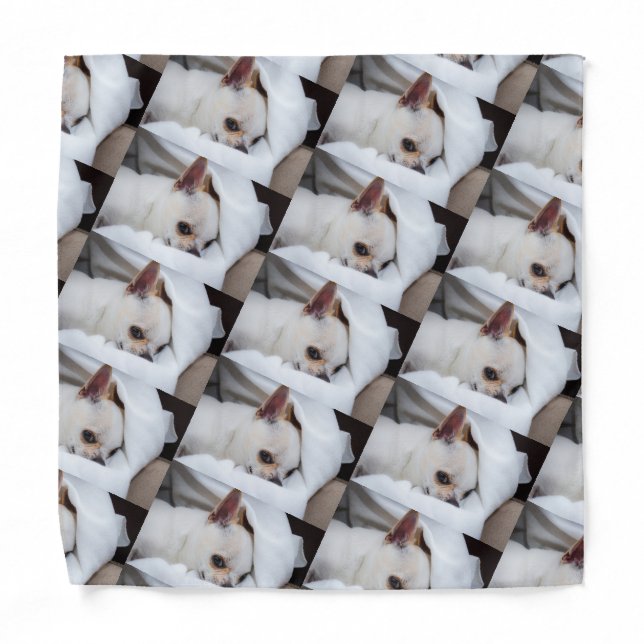 Your pet dog puppy custom photo chihuahua pattern bandana (Front)